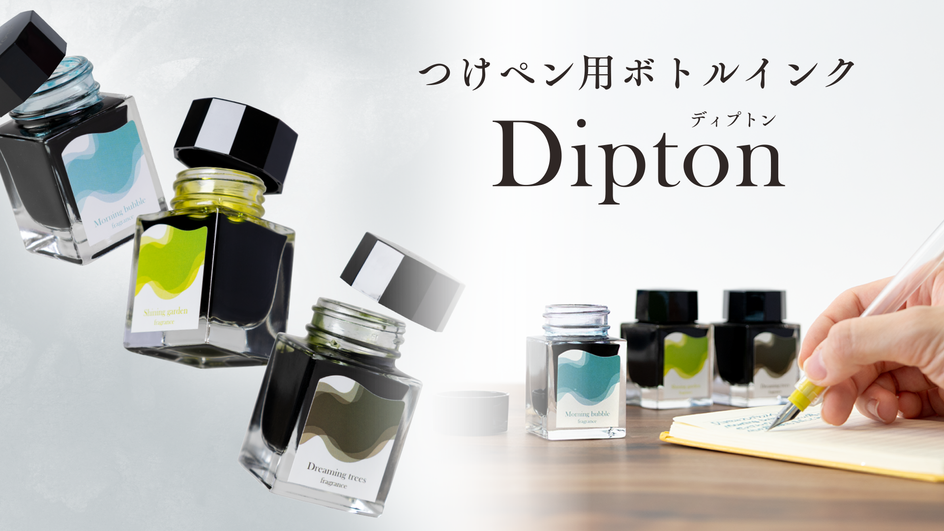 ンスクオア 形 学用品 スチューデント オフィス ステーショナリー ニブ 