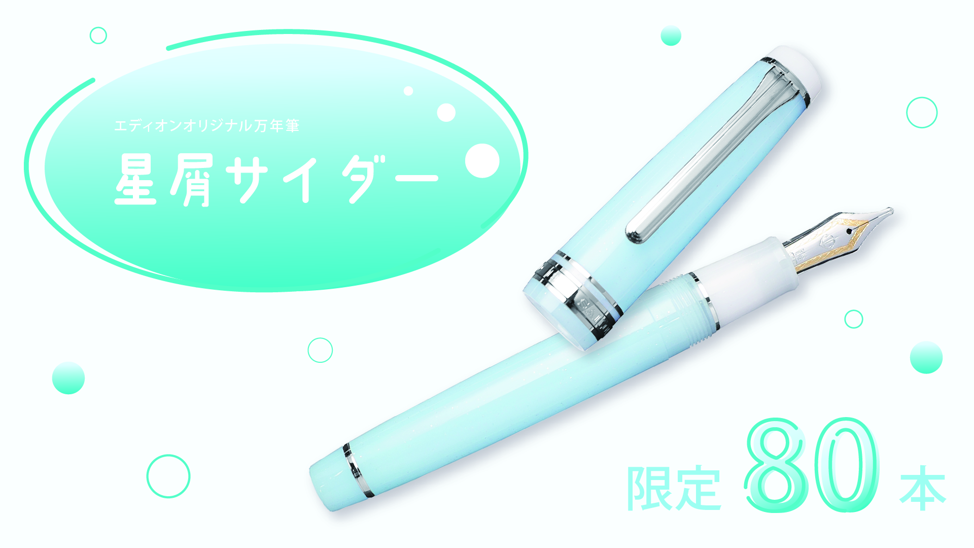 エディオンなんば本店オリジナル万年筆 『エディオンオリジナル万年筆 